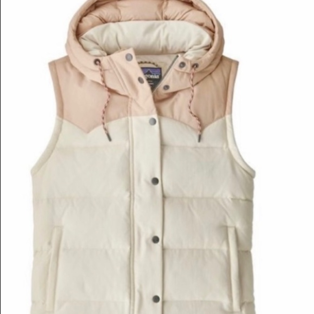 Patagonia Bivy Down Vest